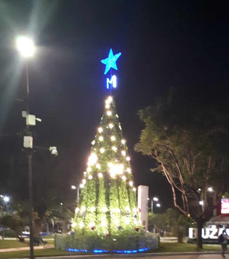 La Navidad en Pago Chico