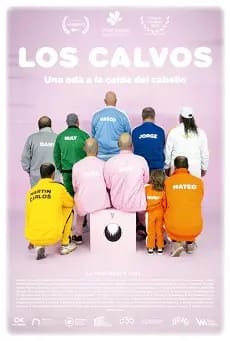 Los Calvos